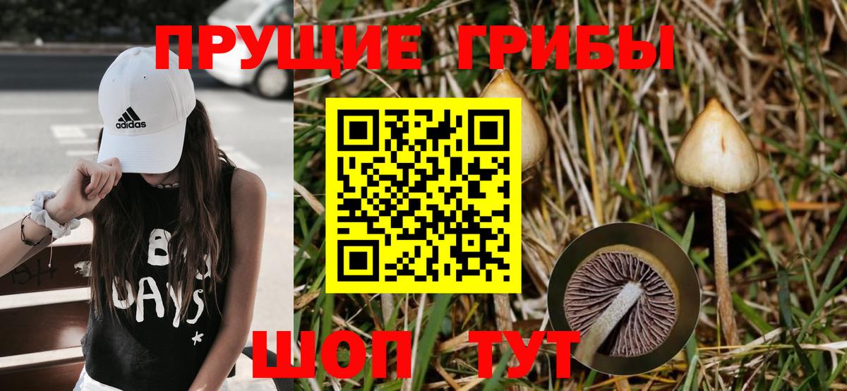 Сыктывкар  Галлюциногенные грибы MAGIC MUSHROOMS  Псилоцибиновые грибы Psilocybe  Вход с VPN 
