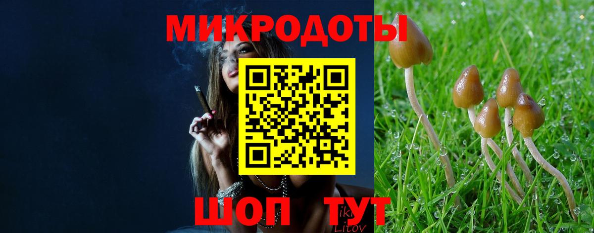 Псилоцибиновые грибы ЛСД Сыктывкар